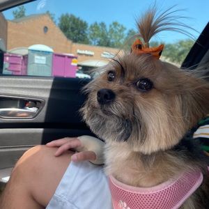 Meet your Posher, Roxana